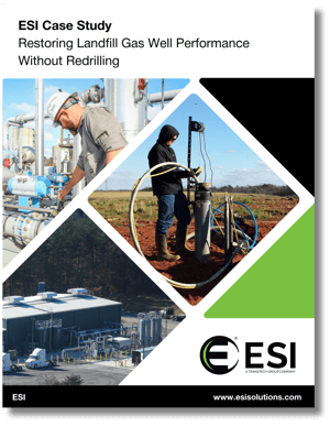 ESI Case Study - Termite