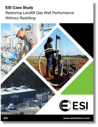 ESI Termite Case Study Cover - Shadow