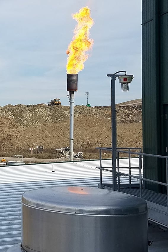 7 flare 2-2 copy-3-1